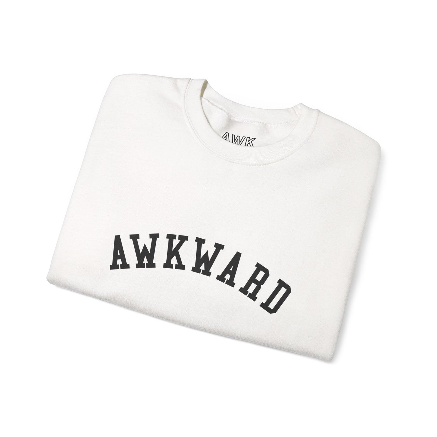 AWKWARD COLLEGIATE sweatshirt