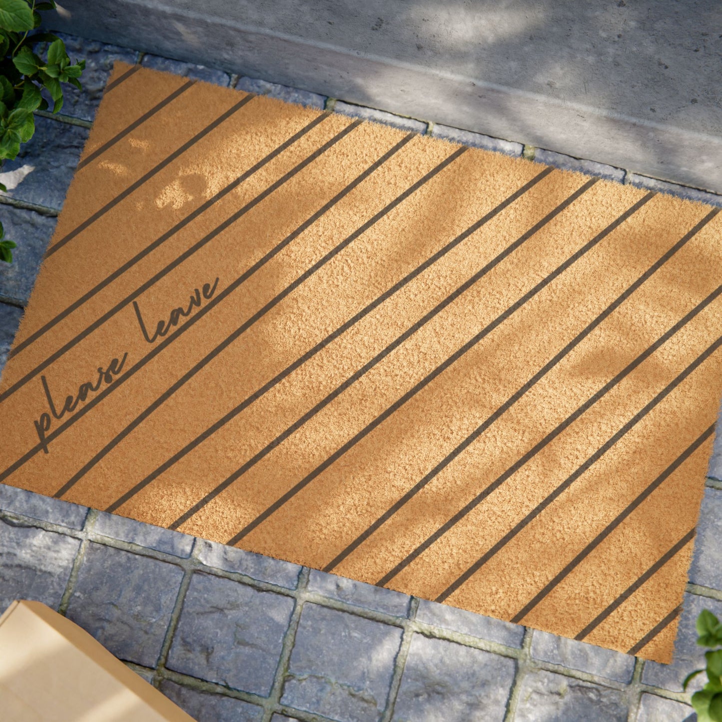 PLEASE LEAVE doormat