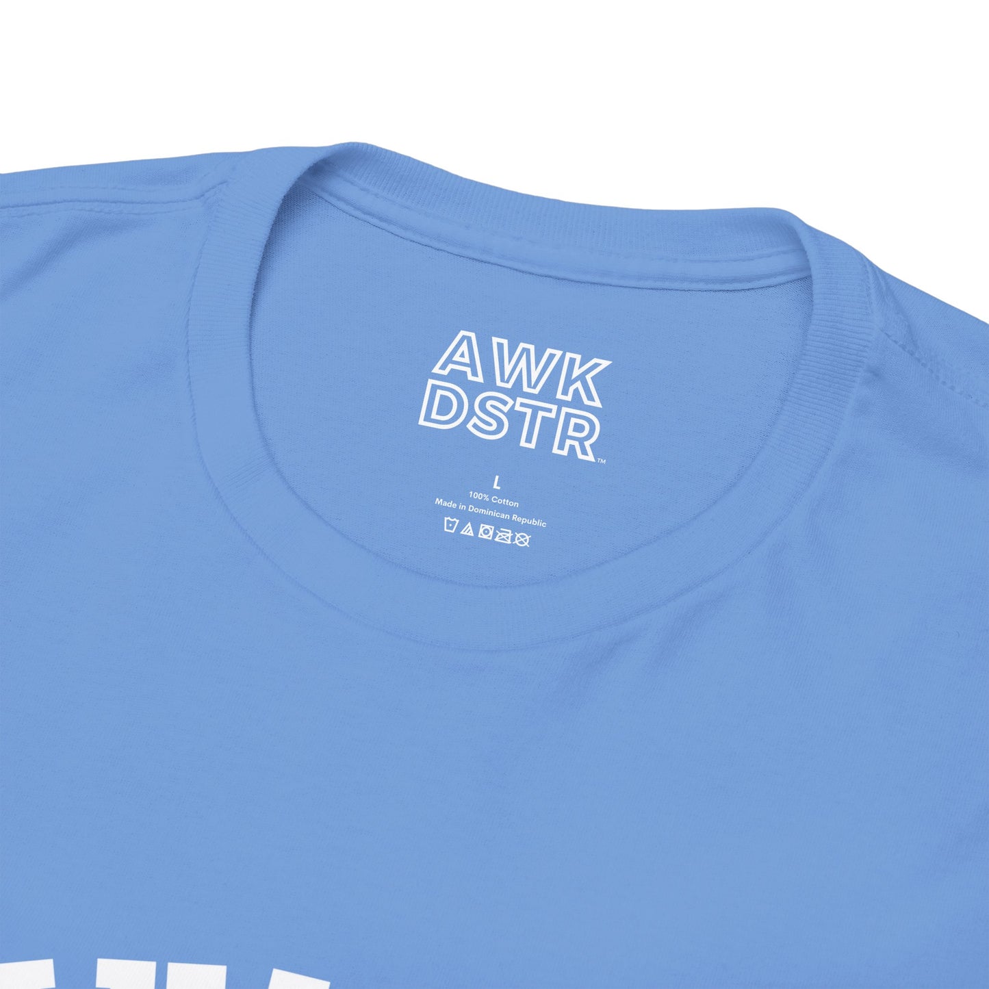 AWKWARD COLLEGIATE t-shirt