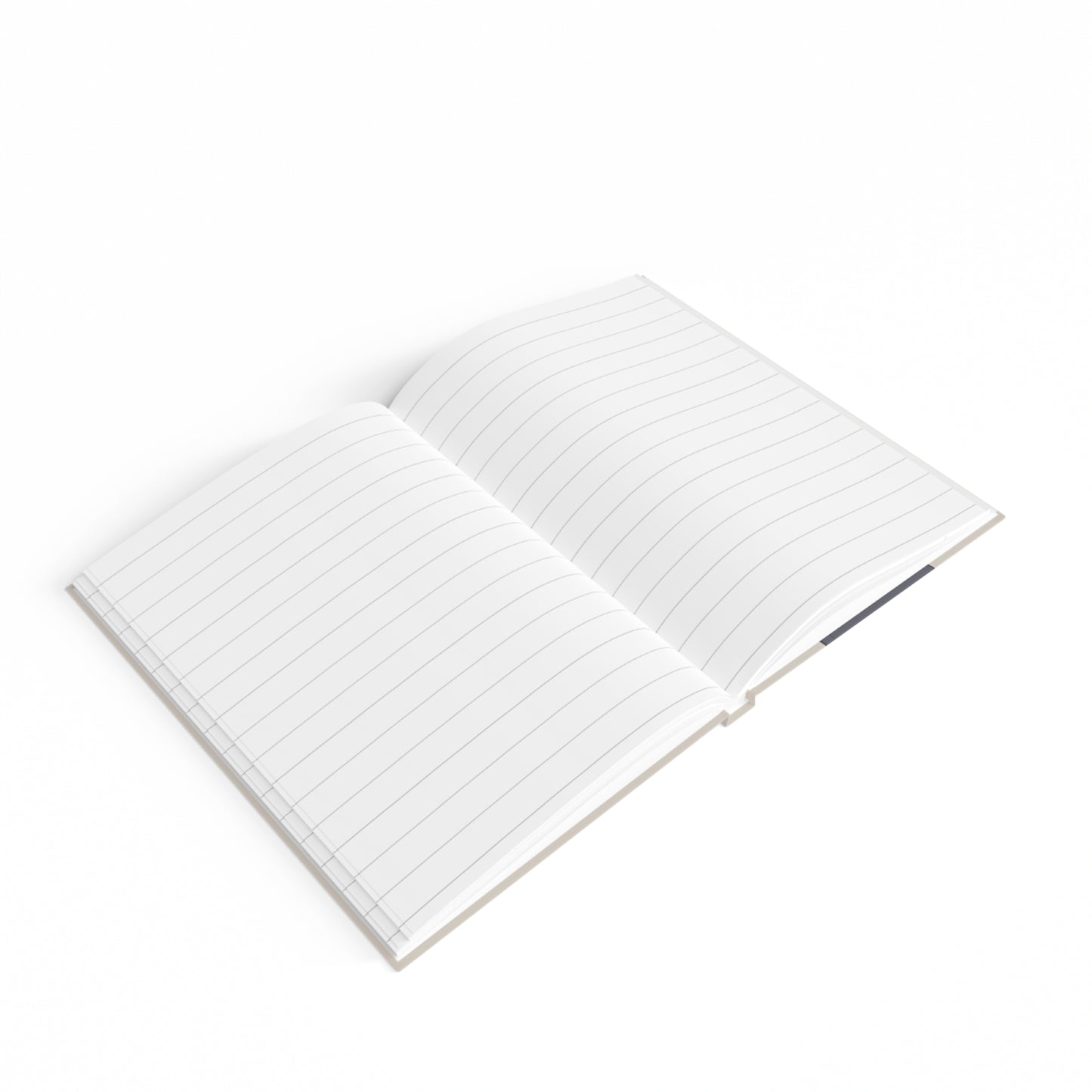 PUBLISH AFTER DEATH diary (greige)