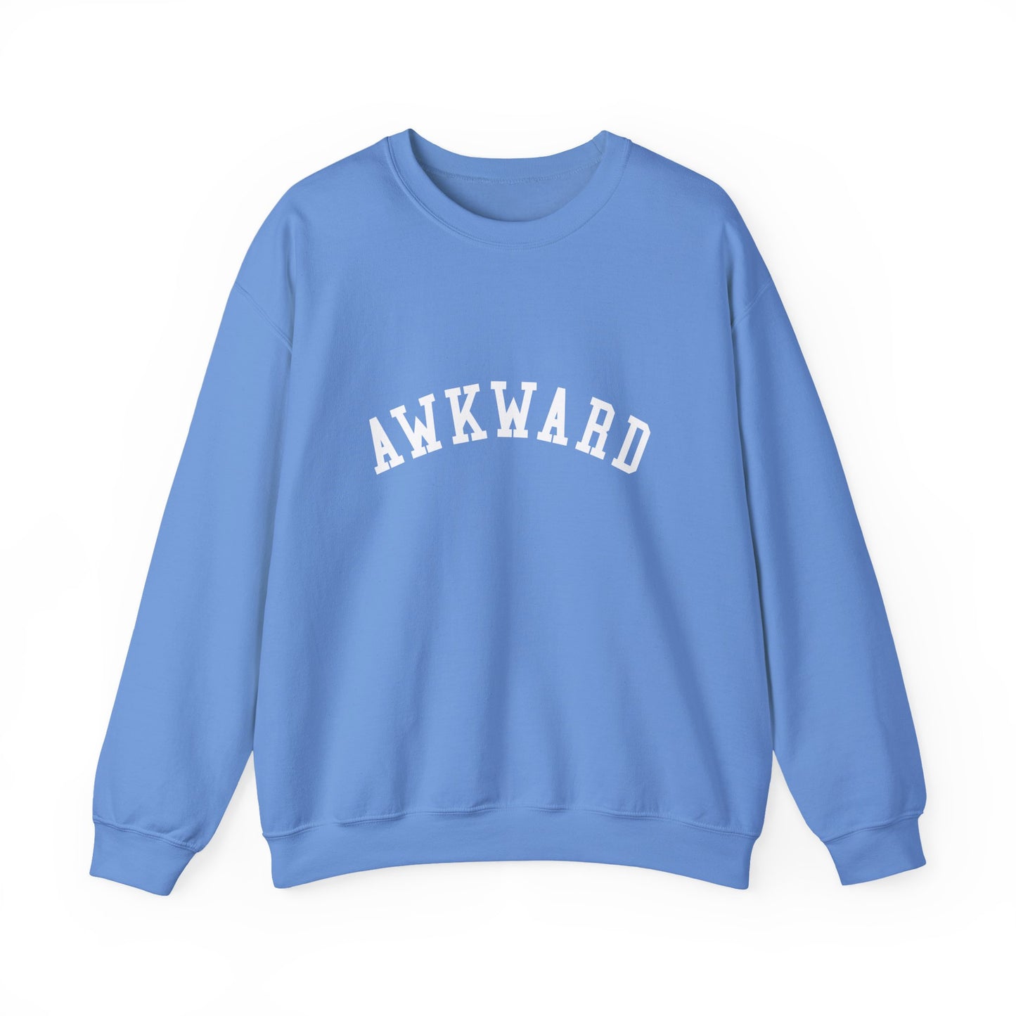 AWKWARD COLLEGIATE sweatshirt